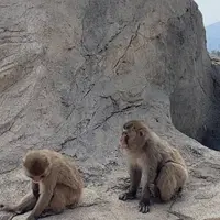 旭川市 旭山動物園の写真・動画_image_670737