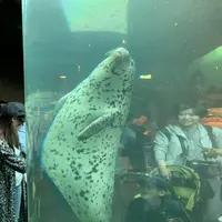 旭川市 旭山動物園の写真・動画_image_670739