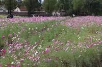 滋賀県の写真・動画_image_670899