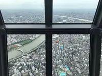 東京スカイツリーの写真・動画_image_671065