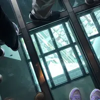 東京スカイツリーの写真・動画_image_671068
