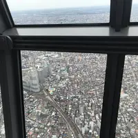 東京スカイツリーの写真・動画_image_671069