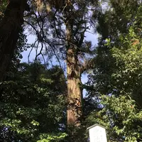 貫前神社の写真・動画_image_671601