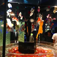 すみだ水族館の写真・動画_image_671718