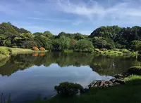 新宿御苑の写真・動画_image_671723