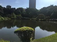 新宿御苑の写真・動画_image_671724