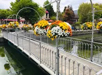 河口湖音楽と森の美術館（旧：オルゴールの森）の写真・動画_image_671760