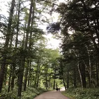 上高地の写真・動画_image_671777