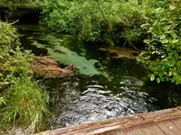 上高地の写真・動画_image_671782