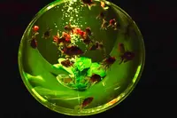 【閉業】アートアクアリウムの写真・動画_image_671789