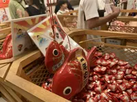 川越氷川神社の写真・動画_image_672895