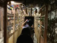 川越氷川神社の写真・動画_image_672898