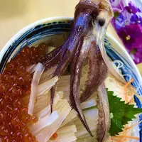 一花亭 たびじの写真・動画_image_672942