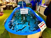 函館朝市の写真・動画_image_672944