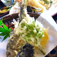 御食事処 音吉の写真・動画_image_672992