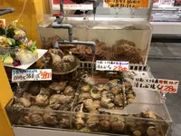 うろこ番屋の写真・動画_image_673011