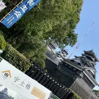 熊本城の写真・動画_image_673314