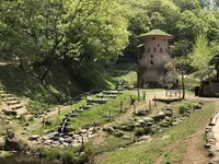 トーベ・ヤンソンあけぼの子どもの森公園の写真・動画_image_675824
