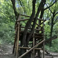 トーベ・ヤンソンあけぼの子どもの森公園の写真・動画_image_675827