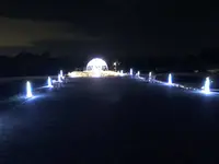 マリーゴールドの丘の写真・動画_image_676329