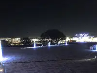 マリーゴールドの丘の写真・動画_image_676332