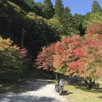 篭坊温泉の写真・動画_image_676386