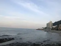 しぼりや旅館の写真・動画_image_677394