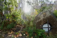 石山緑地の写真・動画_image_677455