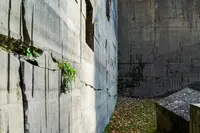 石山緑地の写真・動画_image_677456