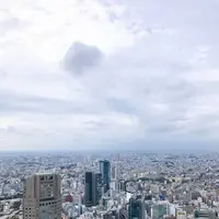 渋谷スクランブルスクエア 東棟の写真・動画_image_677857