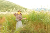 仙石原湿原植物群落の写真・動画_image_678271