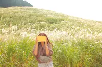 仙石原湿原植物群落の写真・動画_image_678272