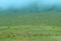  草千里ヶ浜の写真・動画_image_678284