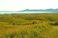 大観峰の写真・動画_image_678294