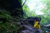 おしらじの滝の写真・動画_image_678334