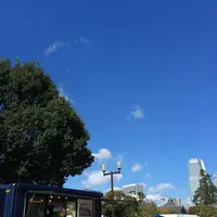 芝公園の写真・動画_image_678573