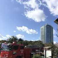 芝公園の写真・動画_image_678574