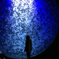 鶴岡市の写真・動画_image_679045