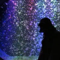 鶴岡市の写真・動画_image_679046