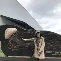 鶴岡市の写真・動画_image_679047