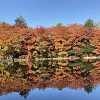 雲場池の写真・動画_image_679358