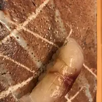 Okudaの写真・動画_image_679388