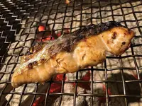 炉ばた煉瓦の写真・動画_image_679629