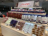 横浜ハンマーヘッドの写真・動画_image_680137