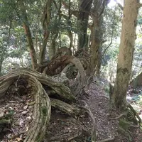 鞍馬寺の写真・動画_image_680564