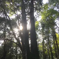 鞍馬寺の写真・動画_image_680565