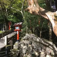 鞍馬寺の写真・動画_image_680566