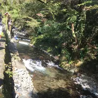 鞍馬寺の写真・動画_image_680569