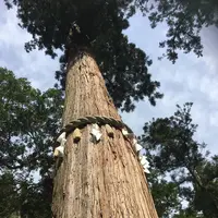 鞍馬寺の写真・動画_image_680570