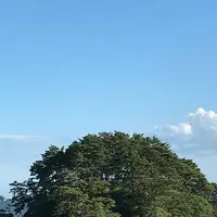 松島の写真・動画_image_680740